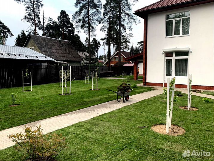 Газон в рулоне