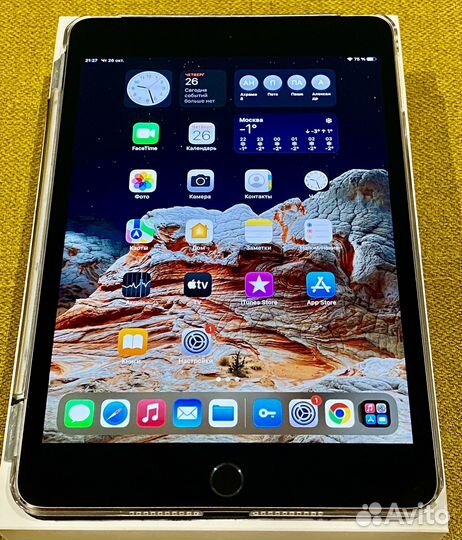 iPad mini 4 128gb cellular