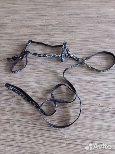 Поводок для кота