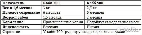 Куры бройлеры