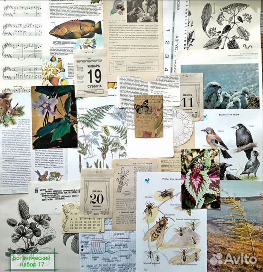 Ботанический набор для джанкбука (скрапбукинг)