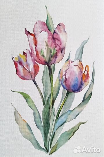 Картина акварелью Тюльпаны
