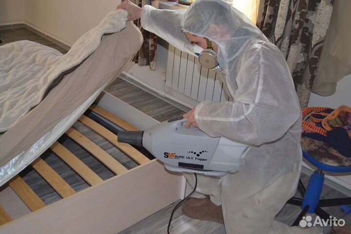 Уничтожение Тараканов Клопов Блох Клещей Плесени