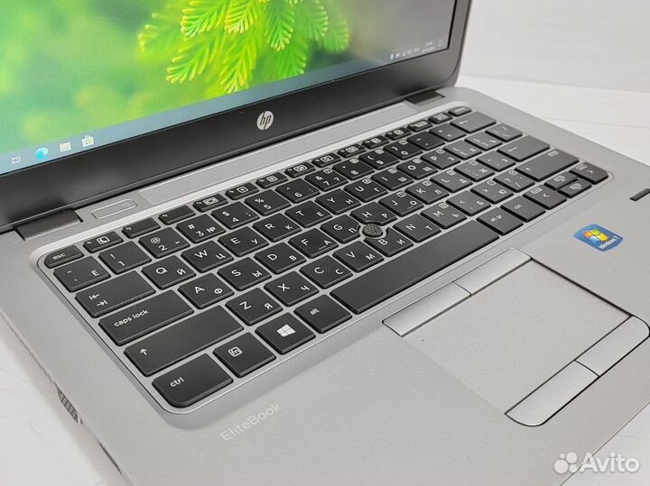 8gb SSD HP EliteBook для игр учебы работы Ноутбук