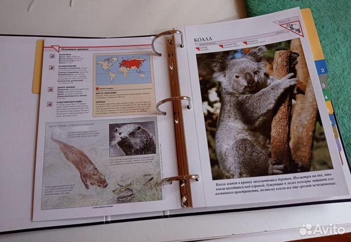 Книги о животных