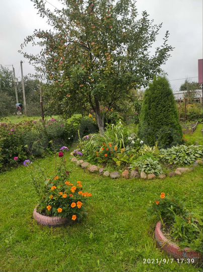 Участок 50 сот. (ИЖС)