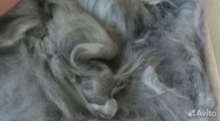 Пух молодого кролика