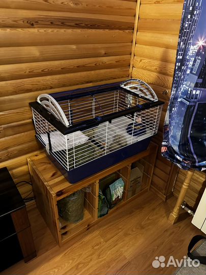 Клетка для грызунов ferplast