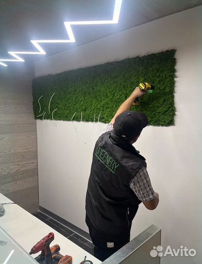 Панели из стабилизированного мха