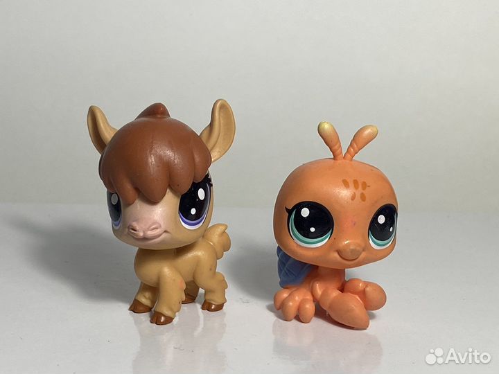 Littlest Pet Shop