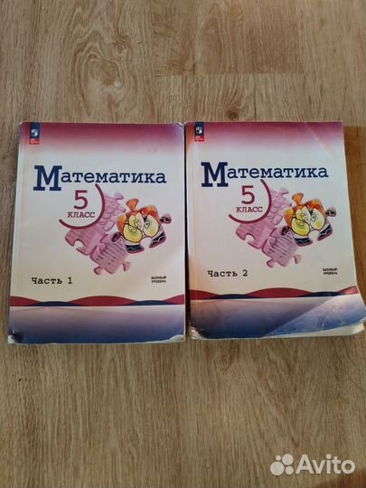 Математика 5 класс 1 и 2 часть