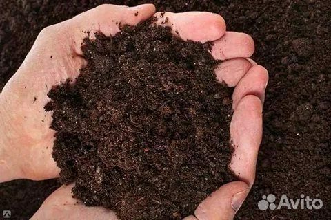 Чернозем Торф