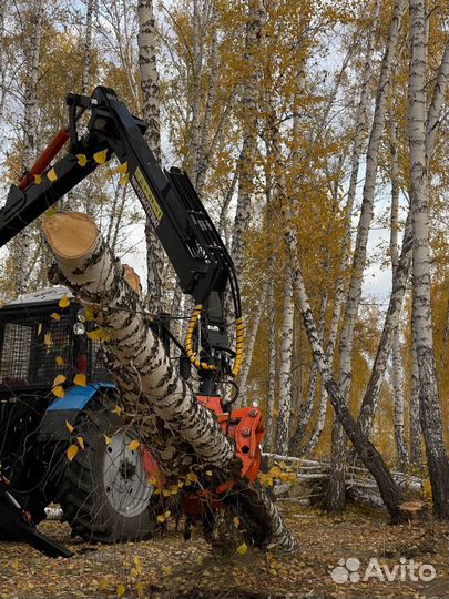 Полуприцеп лесовоз (сортиментовоз) Тигер 11680, 2022