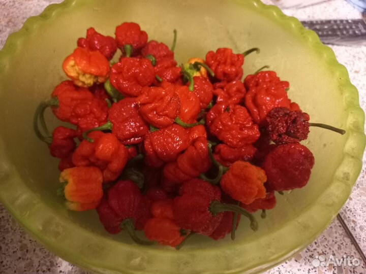 Семена острого перца Carolina Reaper