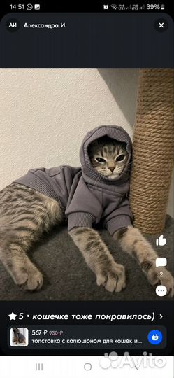 Одежда для маленьких собак и средних пород