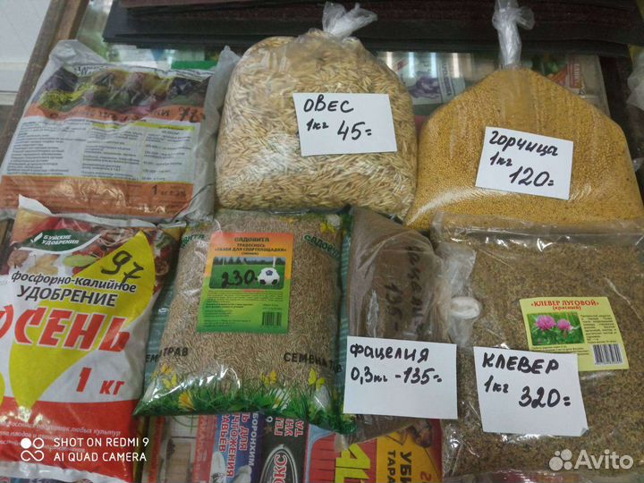 Горчица, овёс