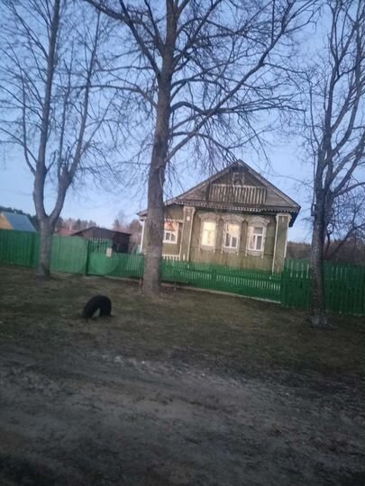 Дом 39 м² на участке 10 сот.