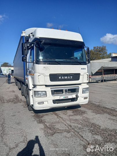 КамАЗ 5490 NEO 2, 2020