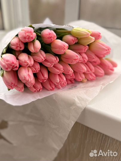 Нежно-розовые Тюльпаны