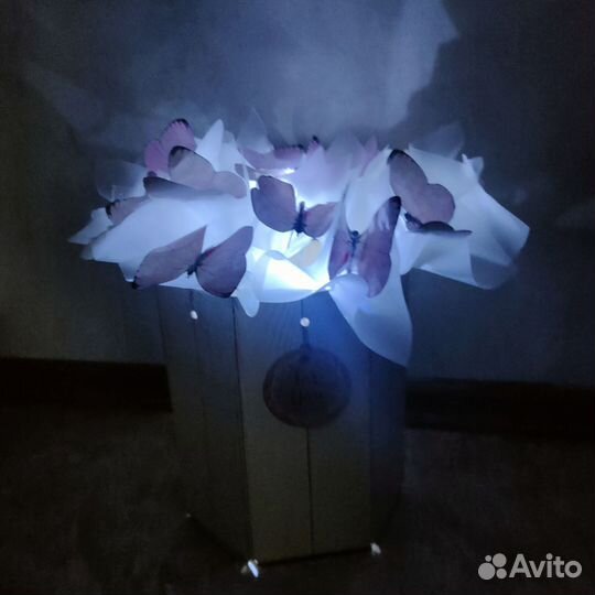 Бабочки в коробке