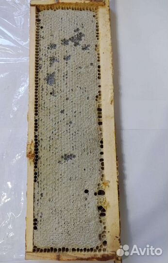 Мед гречишный свежей откачки