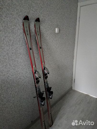 Горные лыжи