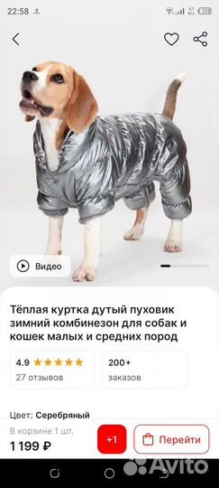 Зимний комбинезон для маленькой собаки