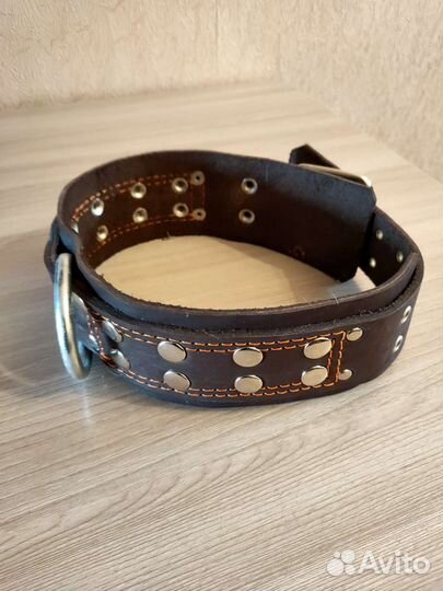 Ошейник для собак