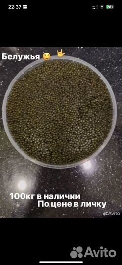 Черная икра