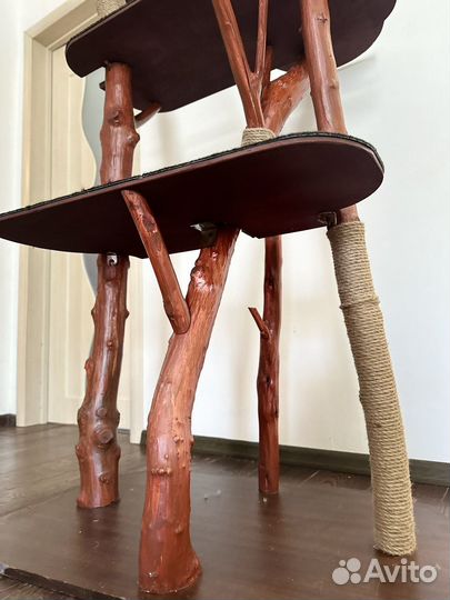 Когтеточка для кошек новая