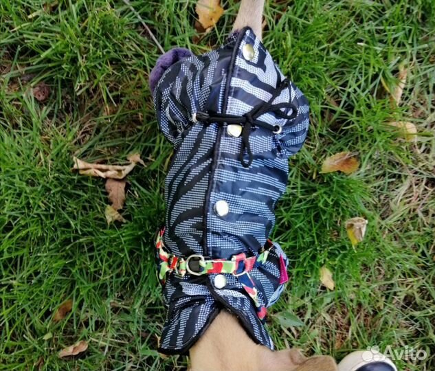 Новый комбинезон для той-терьера/чихуа/йорика (мал