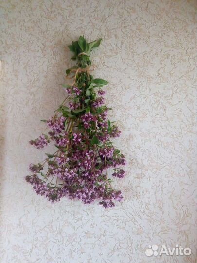 Букет цветов Душица