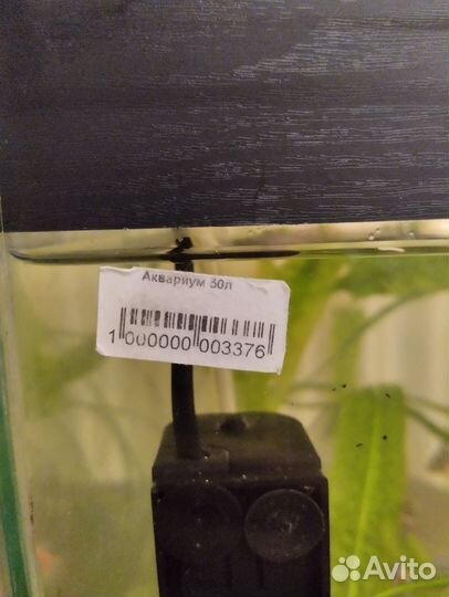 Аквариума действующий на 50 литров