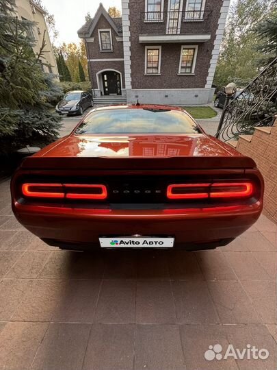 Dodge Challenger 3.6 AT, 2020, 73 000 км