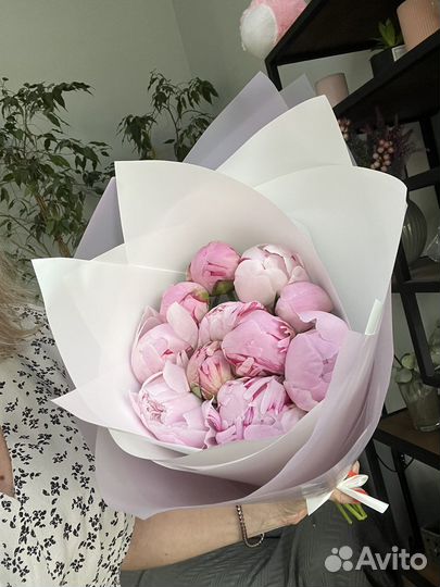 Пионы оптом. Букет пионов из 9 шт Голландия