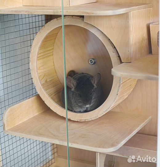 Клетка Витрина для шиншилл дегу белок грызунов Р2