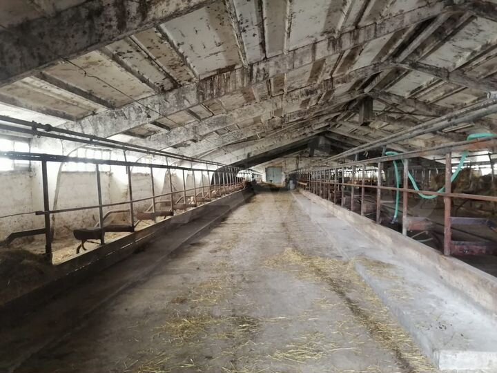 Участок 99999,99 га (СНТ, ДНП)