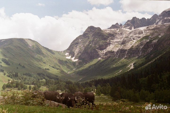 Плёночный фотоаппарат Zenit TTL