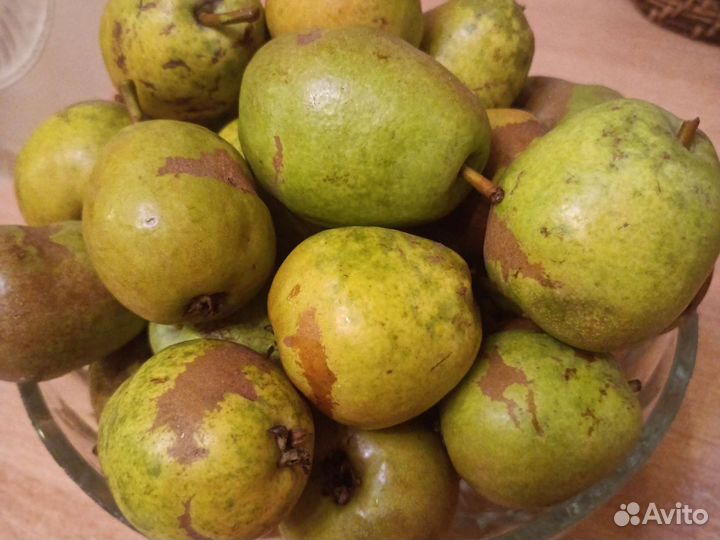 Яблоки и груши