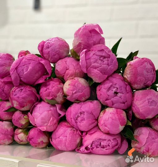 Пионы в наличии всегда, доставка