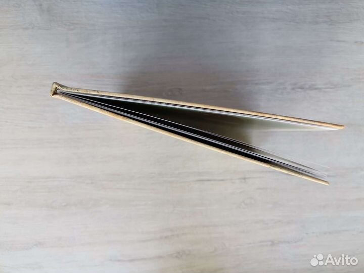 Чем занимаются ведьмы, когда не пугают детей