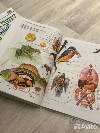 Биология 6 класс Сонин