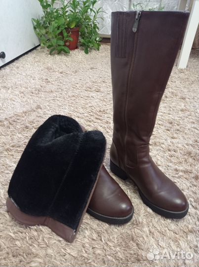 Сапоги женские осенние