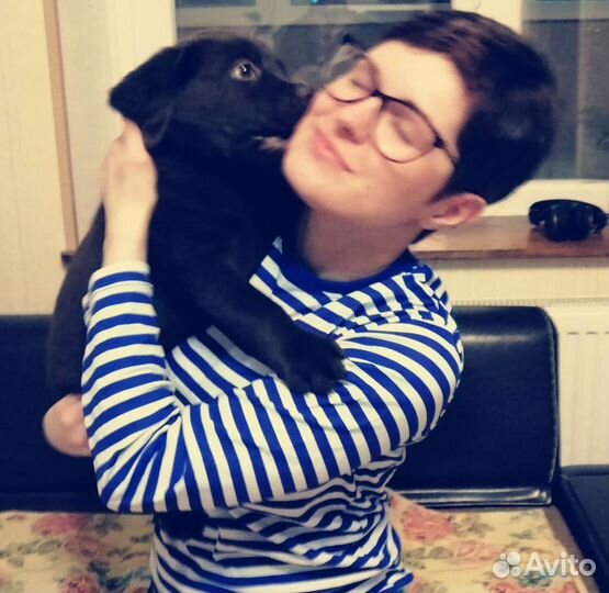 Передержка собак домашняя