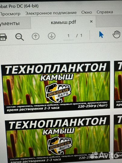 Прикормка для рыбалки