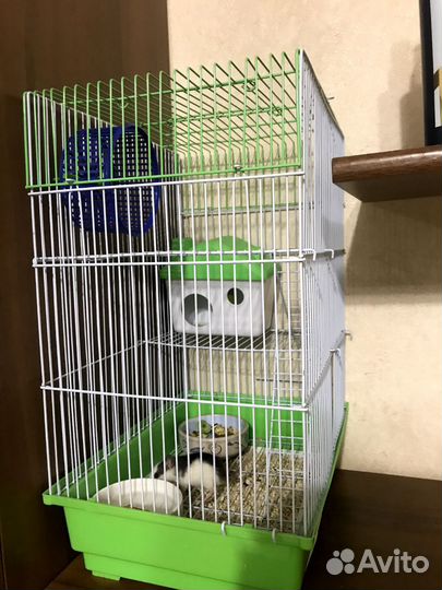 Клетка для грызунов