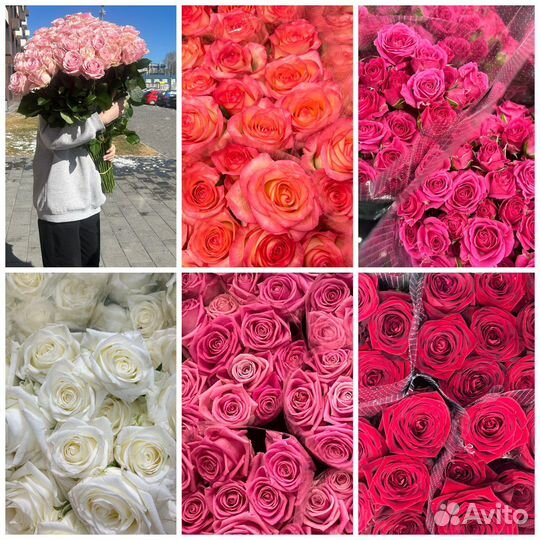 Роза оптом и в розницу