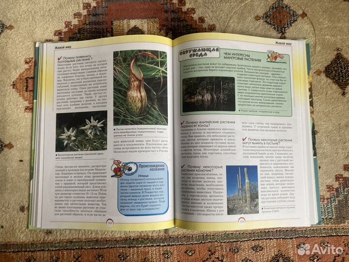 Детская энциклопедия «Хочешь знать почему»