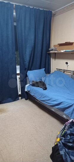 2-к. квартира, 51 м², 5/5 эт.