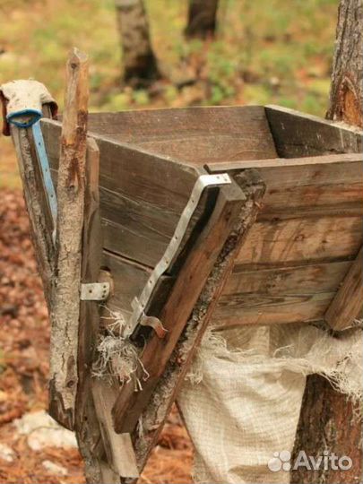 Молотилка и сита для кедрового ореха